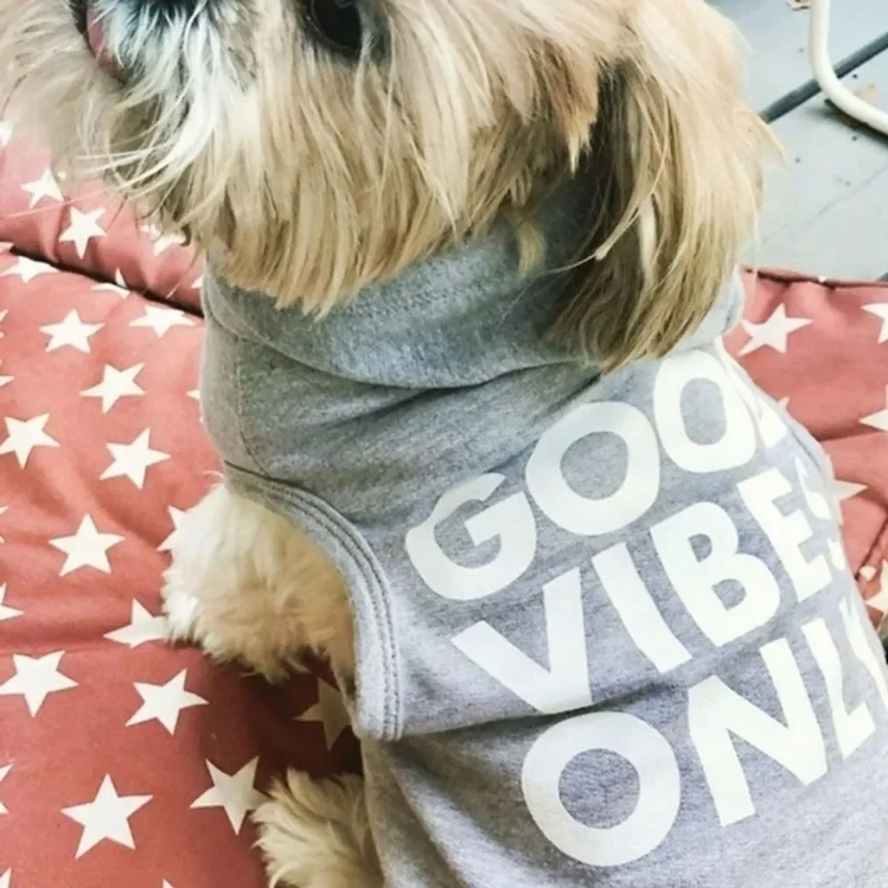 Bowery Pet Supply Dog Hoodie Good Vibes Only Gray 8/Medium Cute